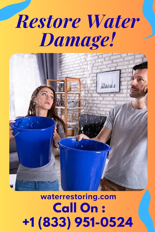 water restoration Advanced Water Repair Professionals Wheatfield