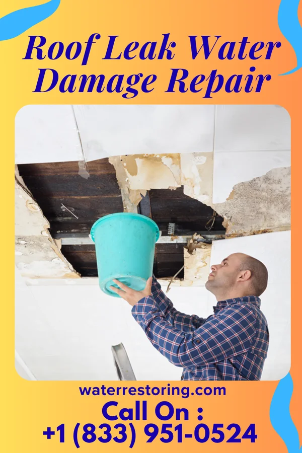 Roof Leak Water Damage Repair in Wheatfield, IN