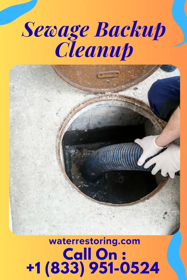 Sewage Backup Cleanup in Wheatfield, IN